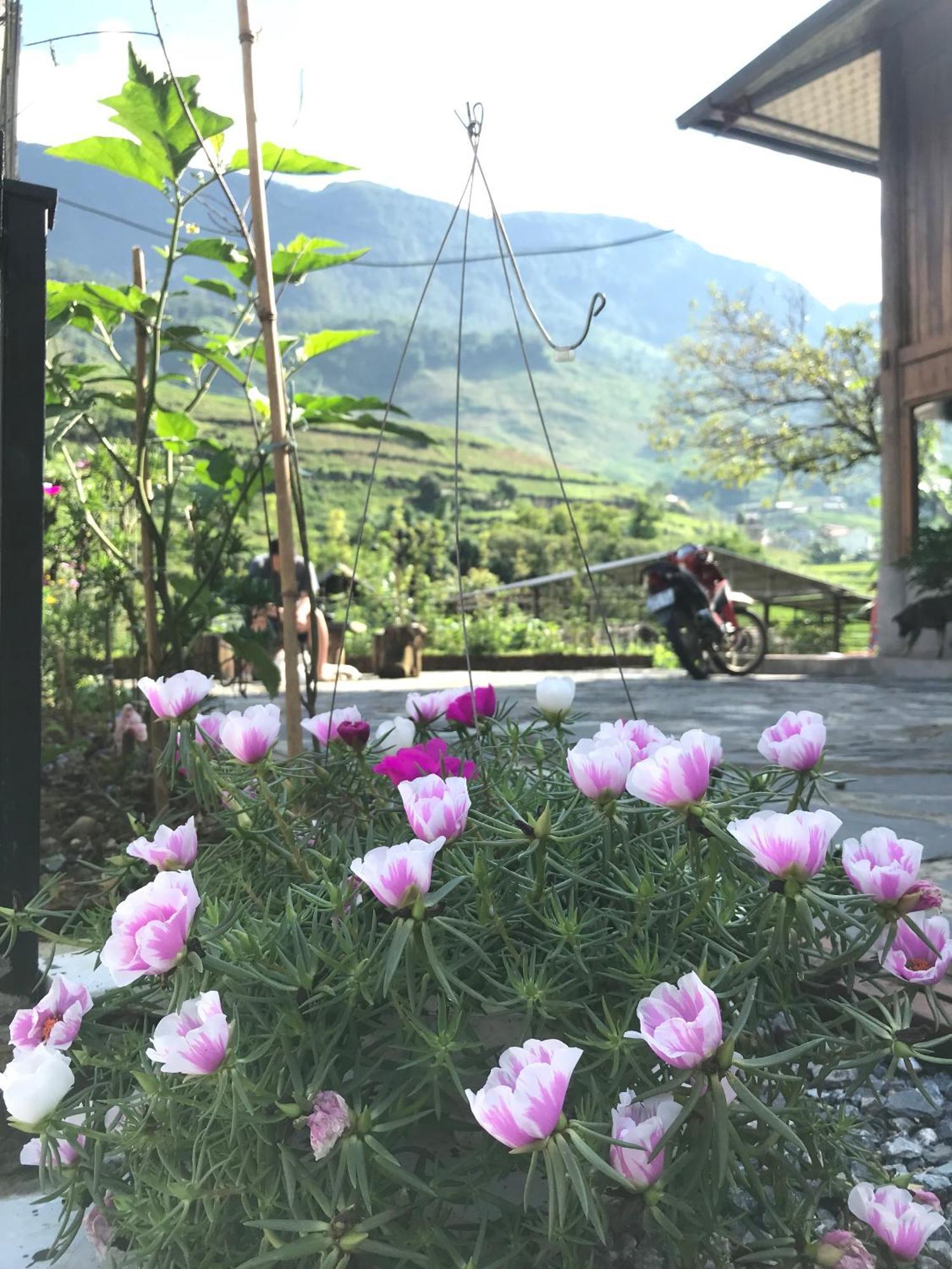 Little Ta Van Homestay Sapa Εξωτερικό φωτογραφία